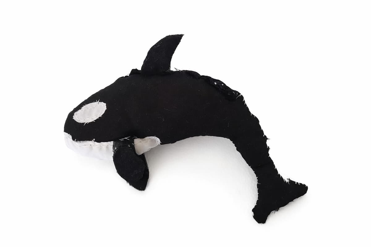 WhatsApp Image 2026-02-25 at 2.39.18 PM.jpeg